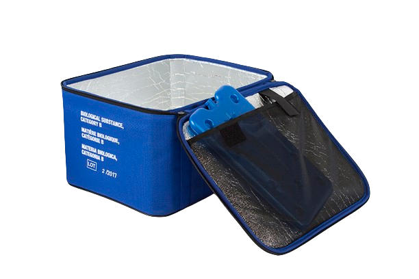 IMG_0005-removebg-preview