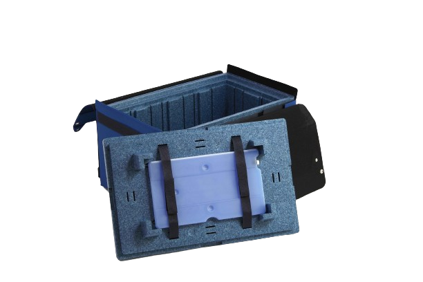 IMG_0006-removebg-preview